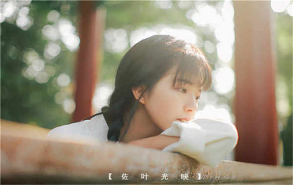 盘龙胎儿性别鉴定需要多少钱(胎儿性别鉴定的方法)
