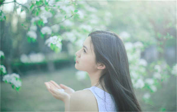盘龙验血查男女几周可以验(验血查男女结果图)